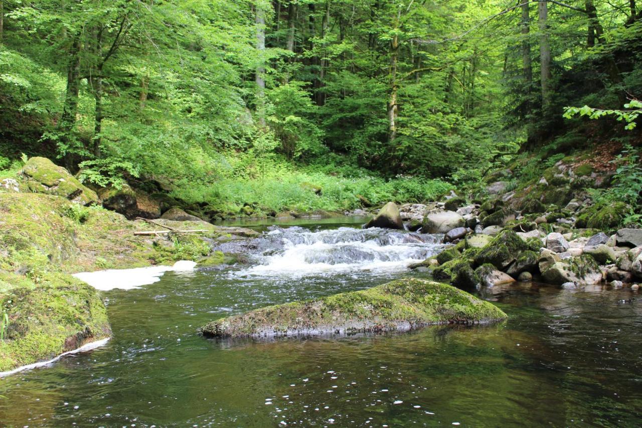 Ferienwohnung Hofleben Reiner Neukirchen vorm Wald Esterno foto